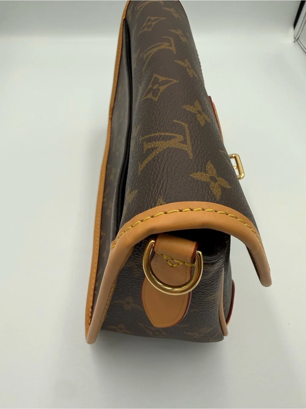 Louis Vuitton Diane Monogram Bag w/Shoulder and Crossbody Straps, Pristine